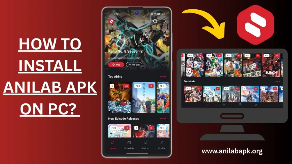 Anilab APK for PC